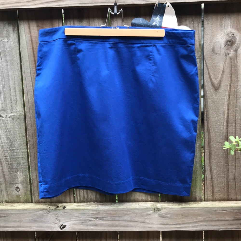 GAP Skirt